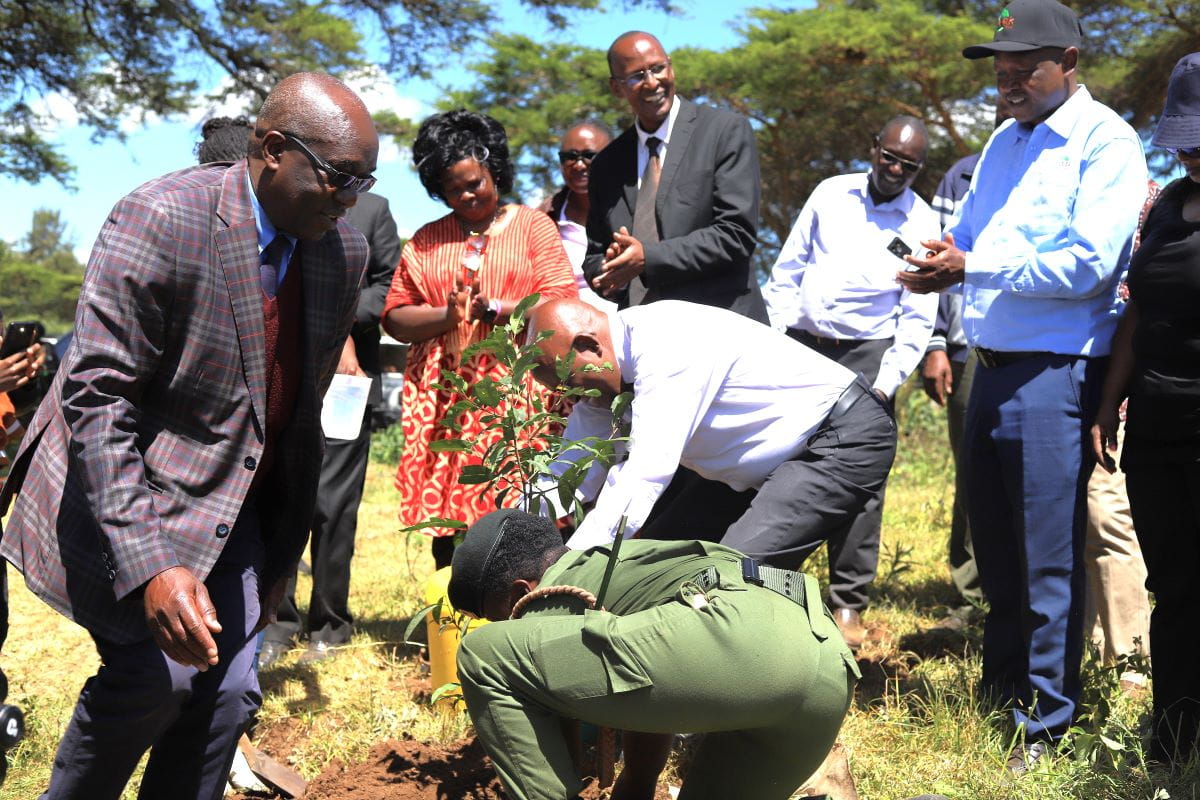 Kenya Turns To Schools, Drones And Data To Attract A New Generation Of Farmers