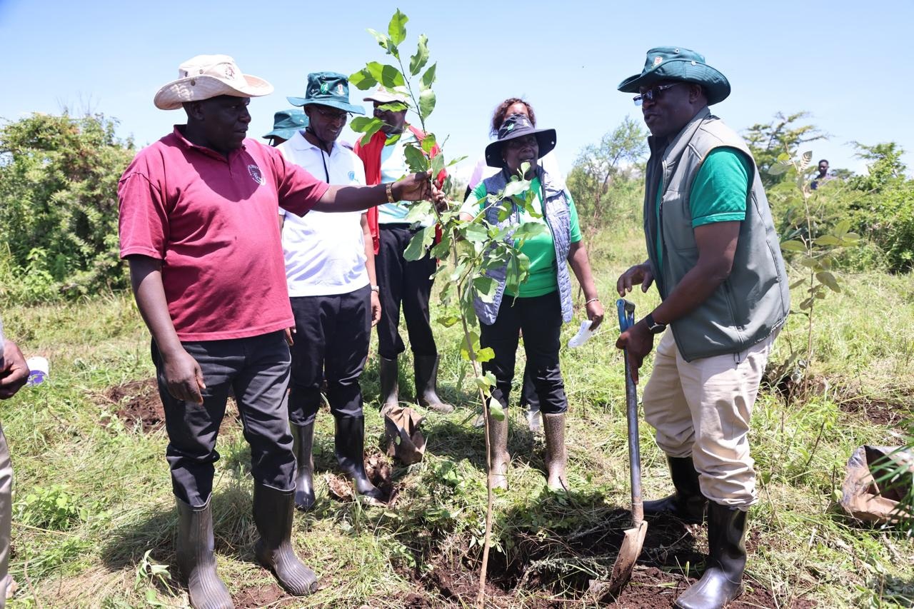 Office of the Prime Cabinet Secretary Leads Tree Planting Exercise at Egerton University