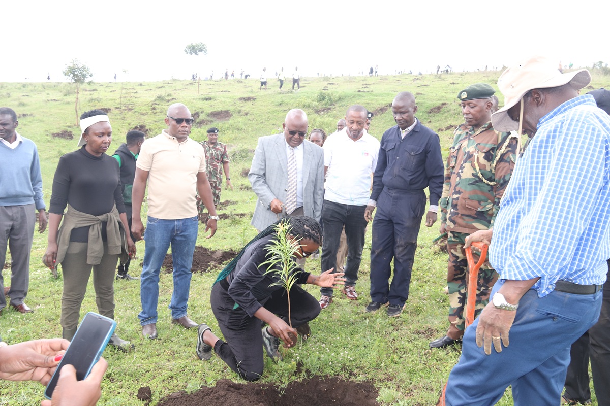 safaricom representative during tree planting