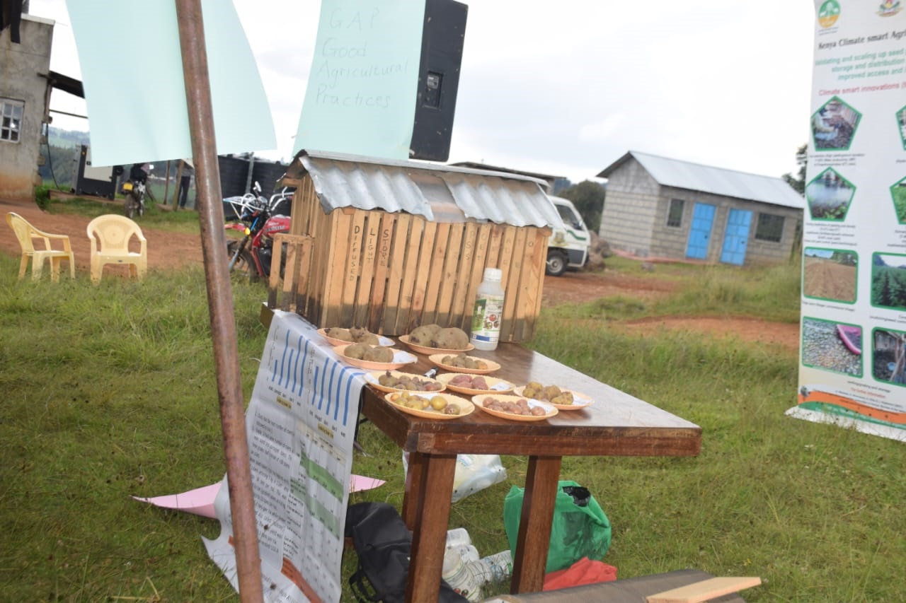 Optimizing Seed Potato Production And Promoting Best Agricultural Practices