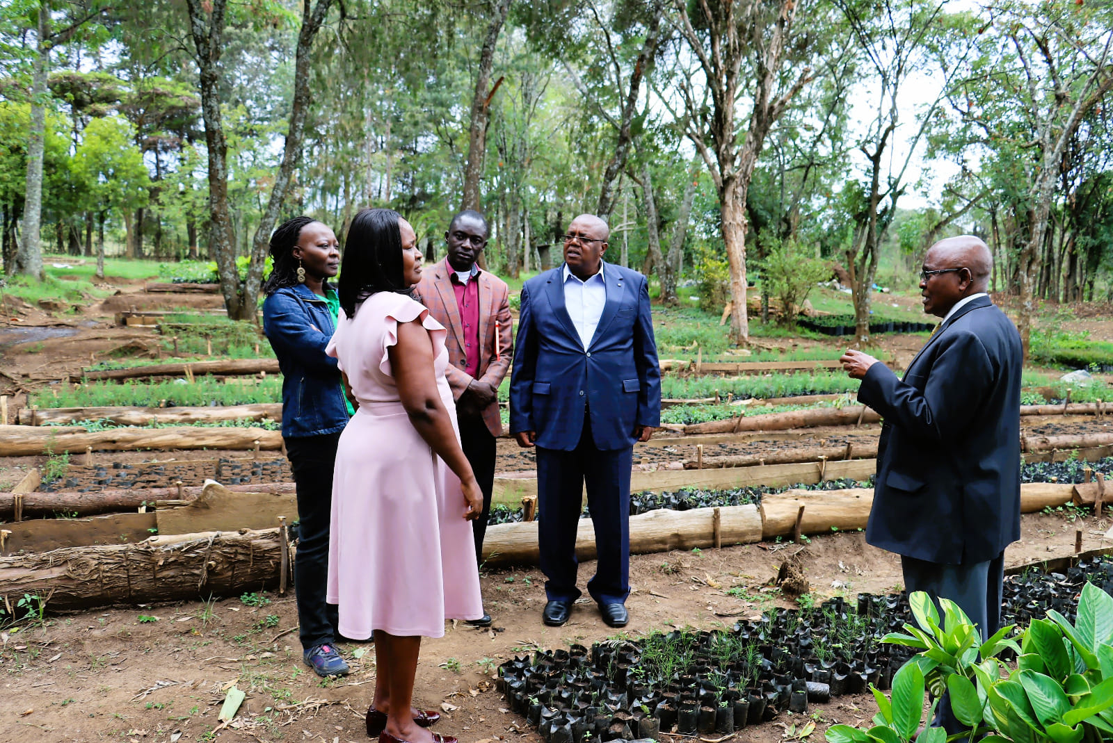 University Council Members Plant Trees to Conserve Mau Ecosystem and Protect Vital River and National Park