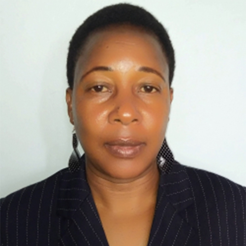<a href='eprofile/20600'>Prof. Patience Mshenga</a>