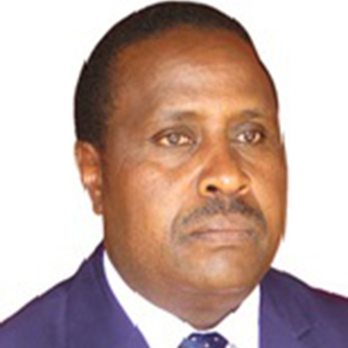 <a href='eprofile/19216'>Dr. Moses N. Gichuki</a>