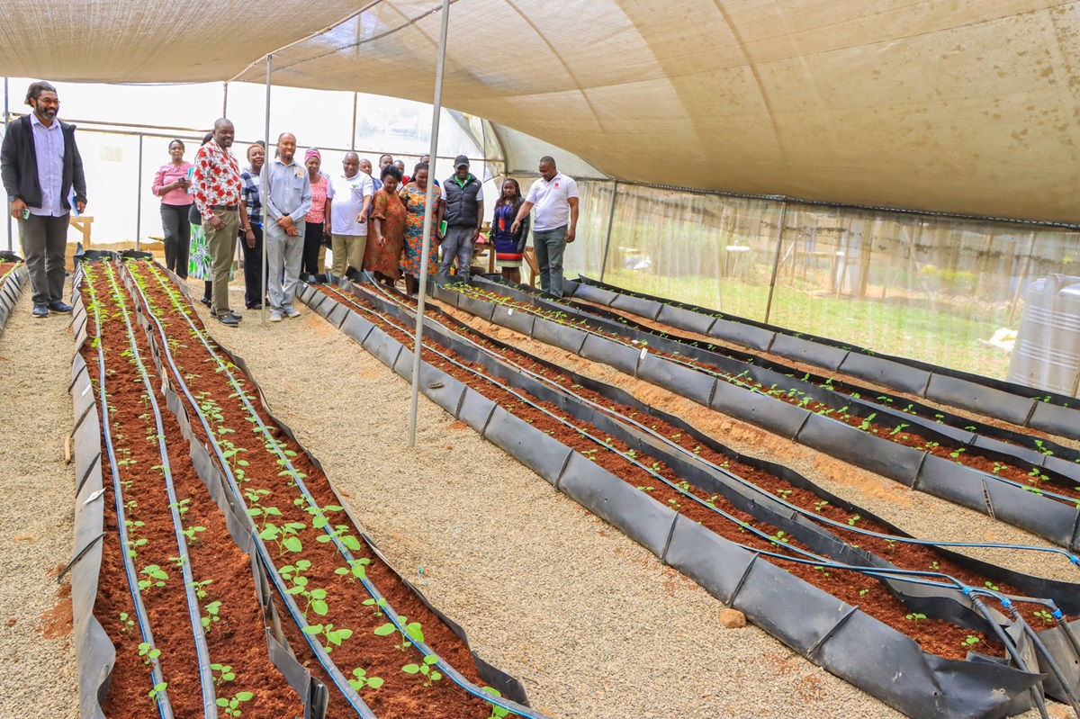 Egerton University Hosts Taita Taveta University for Benchmarking Visit