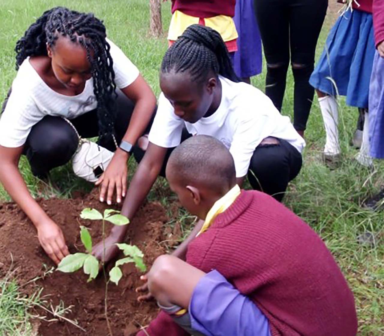 World Environmental Day Celebrations