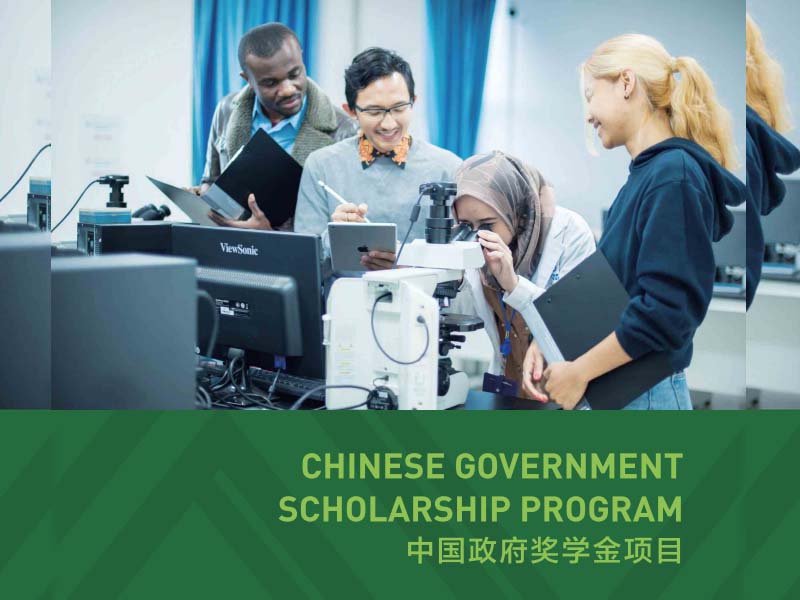 Chinese Government Scholarship