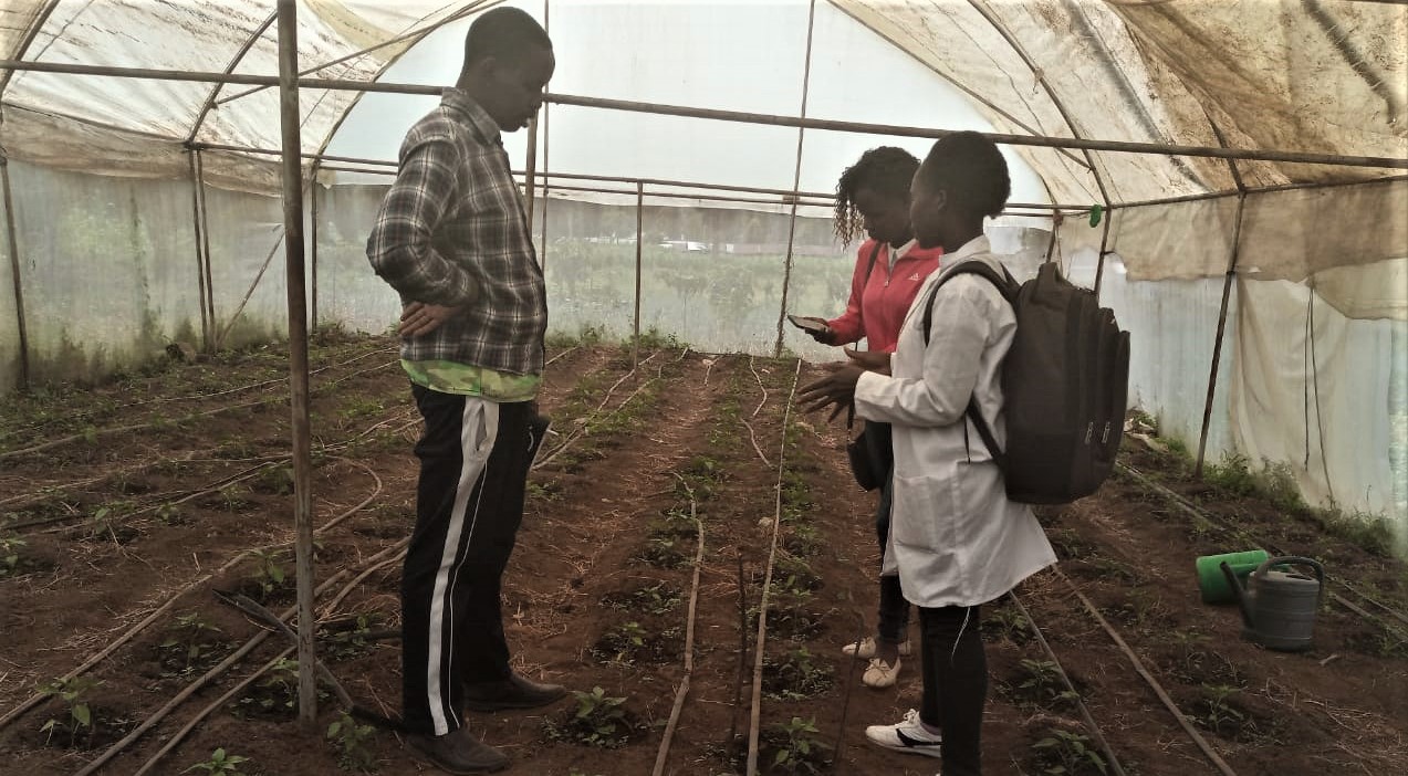 Egerton University agriculture students train farmers in Njokerio