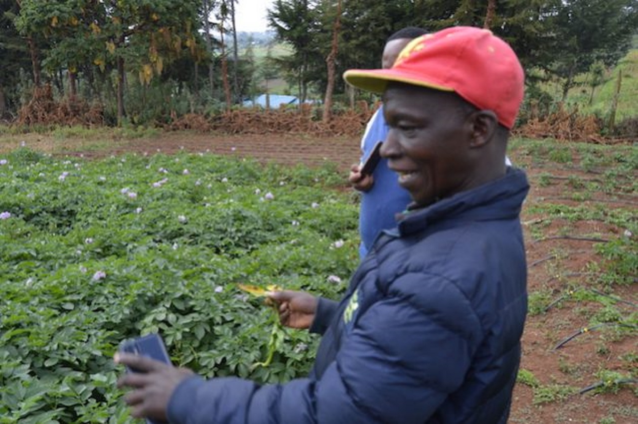 University Outreach Project Teaching Tissue Culture to Potato Farmers