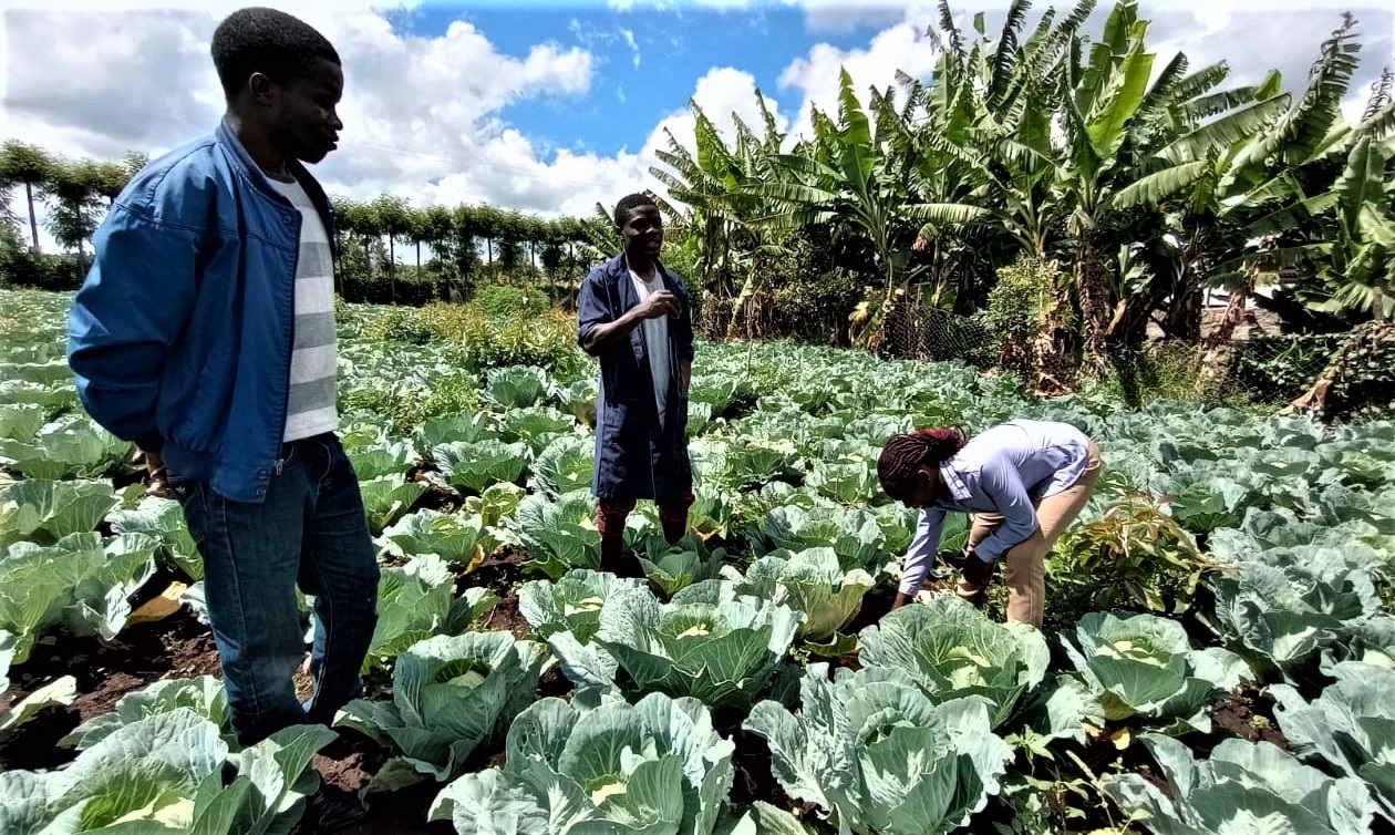 How Egerton Radio’s ‘Kilimo Bora Show’ is impacting on the lives of farmers in Nakuru county