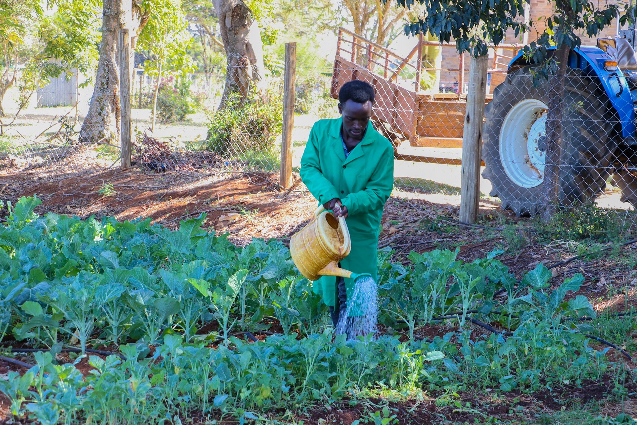 Egerton University Builds the Capacity of the Kisii National Polytechnic in the Agriculture Value Chain Through AGSKILLS