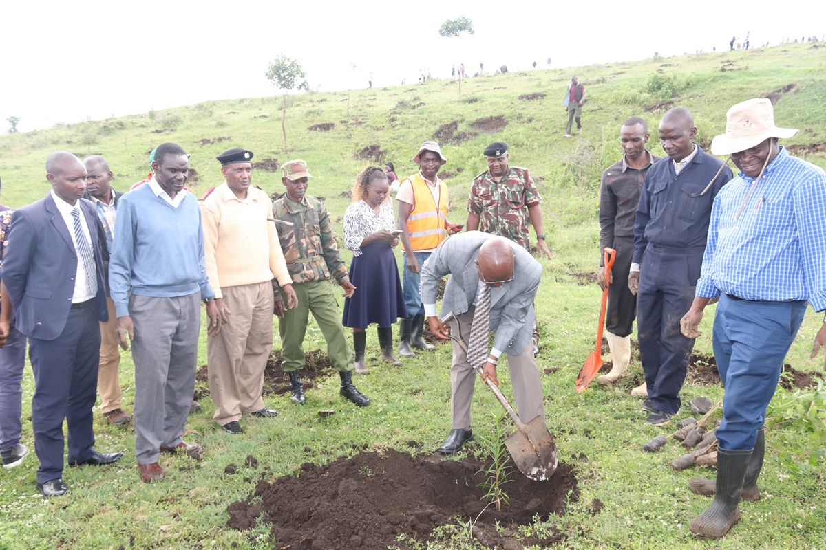 Egerton University Partners with Safaricom to Advance National Tree-Planting and Mau Restoration Efforts