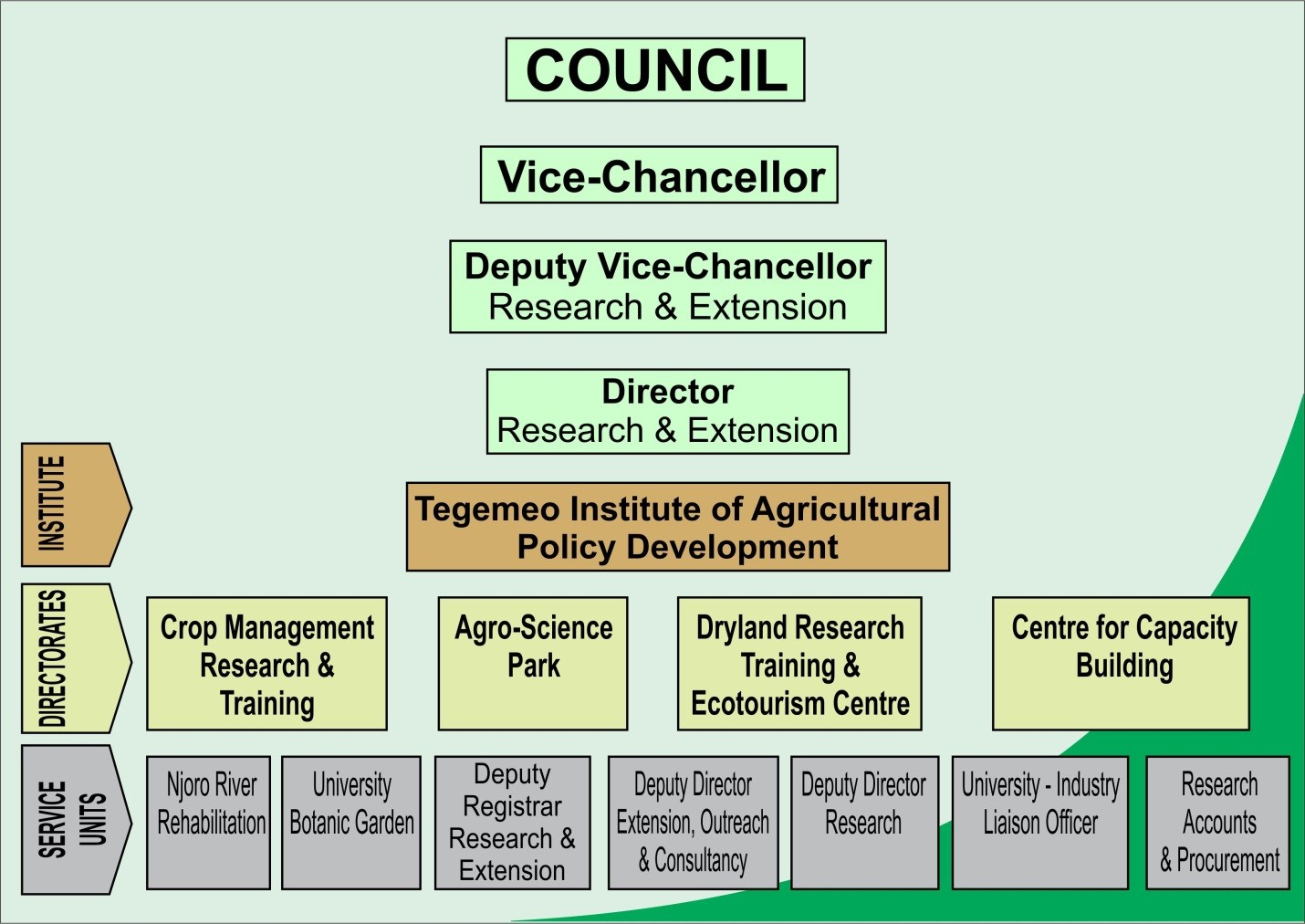 Structure of the Division