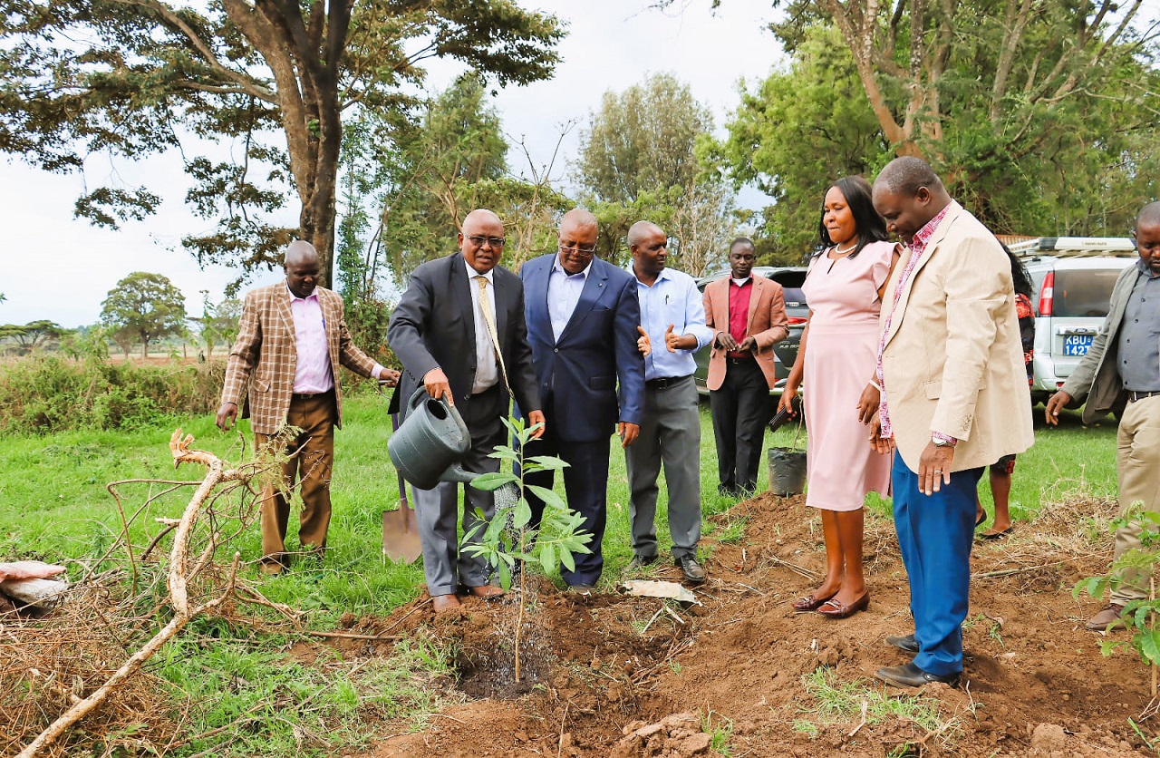 tree planting