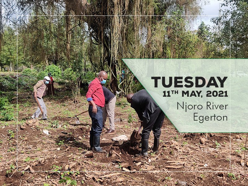 The Division of Research & Extension today, 11 May 2021, planted 1,000 tree seedlings at Njoro Campus. Today’s session is part of the University’s continuous effort of environmental conservation as reflected in one of its core values, “Passion for environmental conservation.