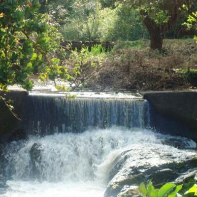 Njoro River