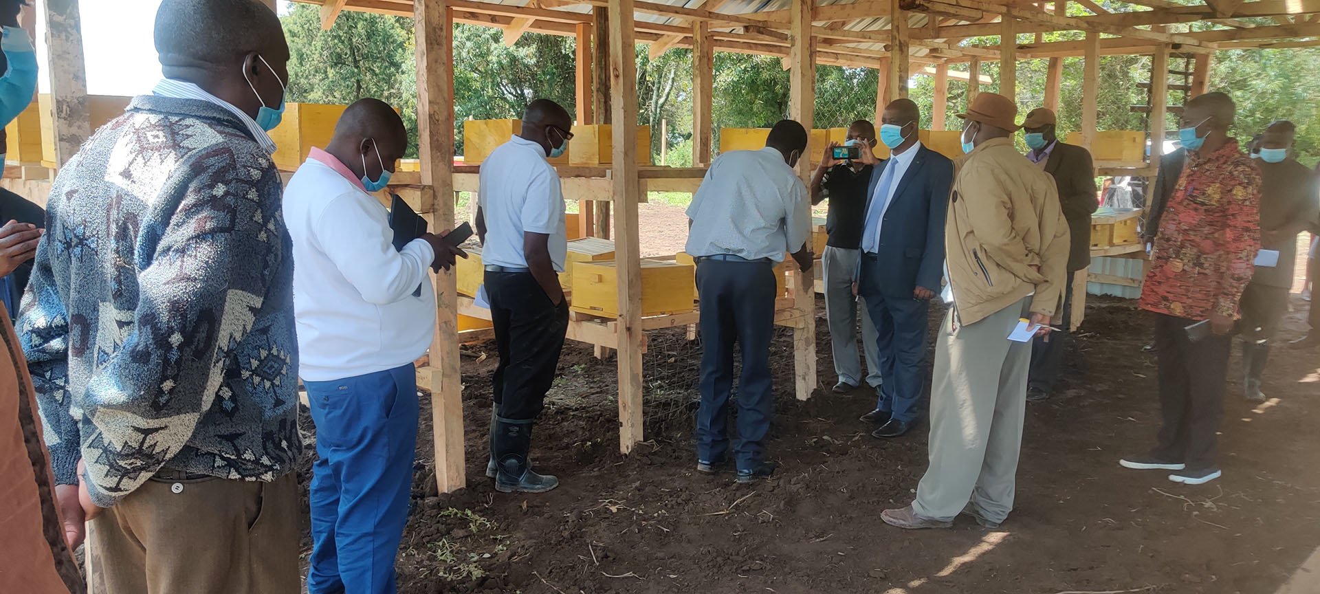 Egerton Launches Queen Bee Rearing Technology
