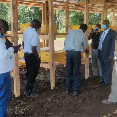 Egerton Launches Queen Bee Rearing Technology