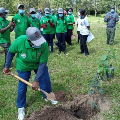 TREE PLANTING CEREMONY  - 2020