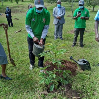 TREE PLANTING CEREMONY  - 2020