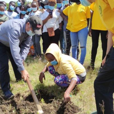 TREE PLANTING