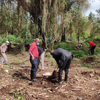 Tree Planting