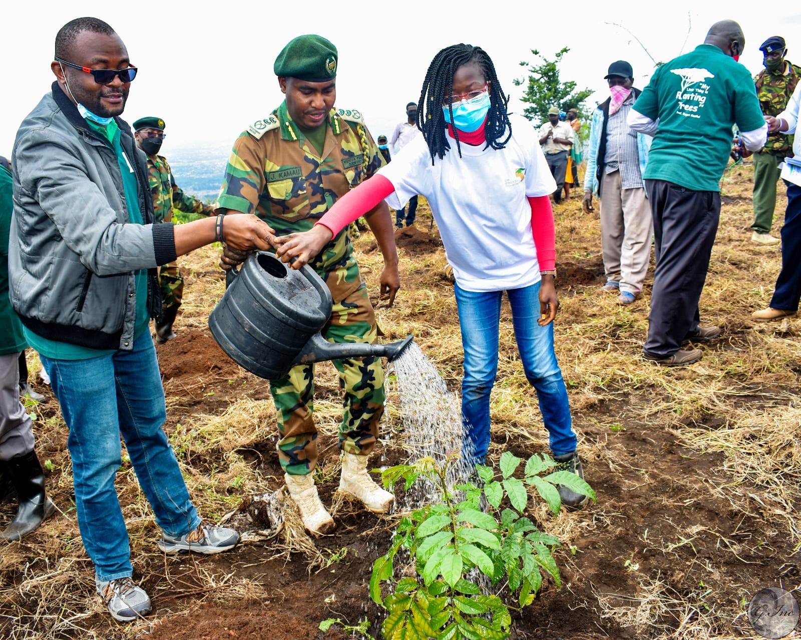 Egerton University Joins Collaboration for Mau Restoration