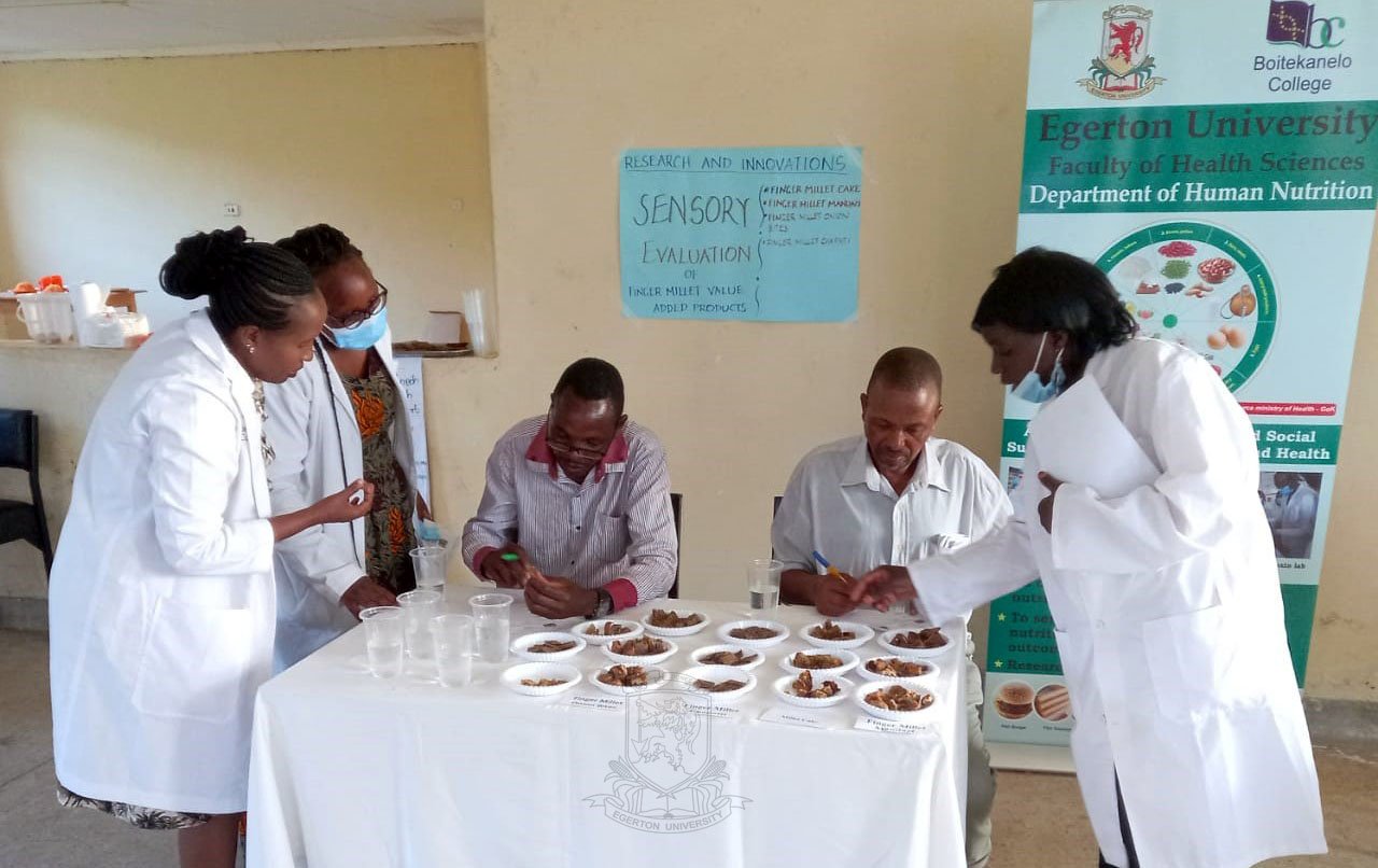 Egerton and Boitekanelo Nutritionists Train Farmers on Finger Millet Value-Addition