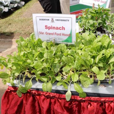 Nakuru Agricultural Show 2022 11