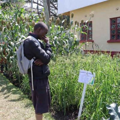 Nakuru Agricultural Show 2022 34