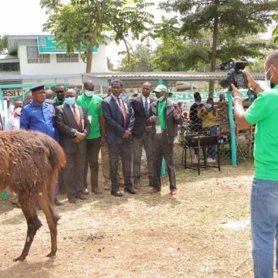 Nakuru Agricultural Show 2022 43