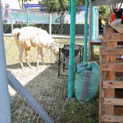 Nakuru Agricultural Show 2022