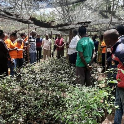 16 Farmers Being Taught Inside The Tree Nursery