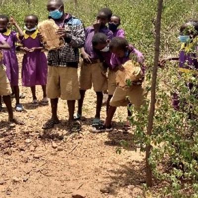 Students From Endao Primary School Enjoying Themselves At The Tortoise Pen 1