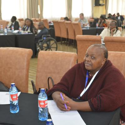 Dises Conference 11
