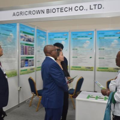 Cac Africa12
