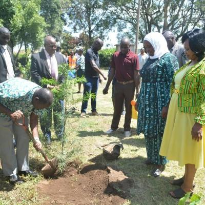 Borehole4